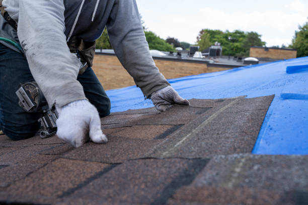 Quick and Trustworthy Emergency Roof Repair Services in Clarence, IA