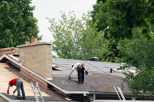 Best Storm Damage Roof Repair  in Clarence, IA