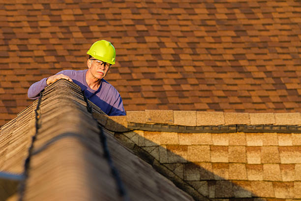 Best Roof Gutter Cleaning  in Clarence, IA