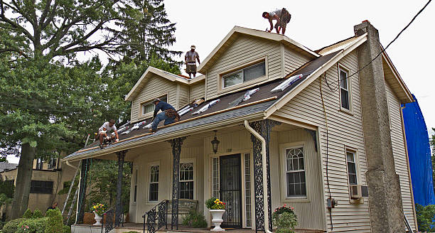 Best Flat Roof Repair Services  in Clarence, IA